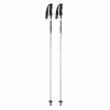 Gabel Carbon Le Chic Ski Poles (Pair) -Ski Equipment Sale carbonlechic